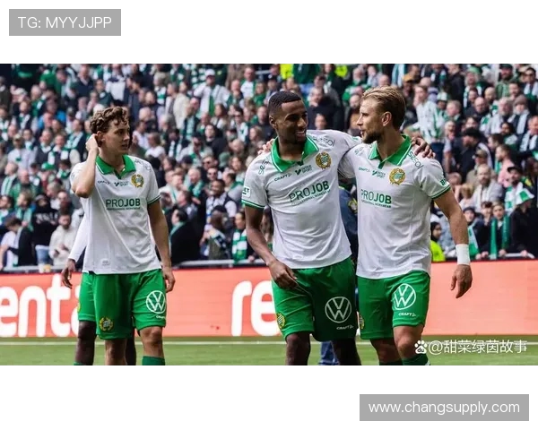 瑞典超级联赛前瞻：哈马比防守稳固米亚尔比进攻如猛虎